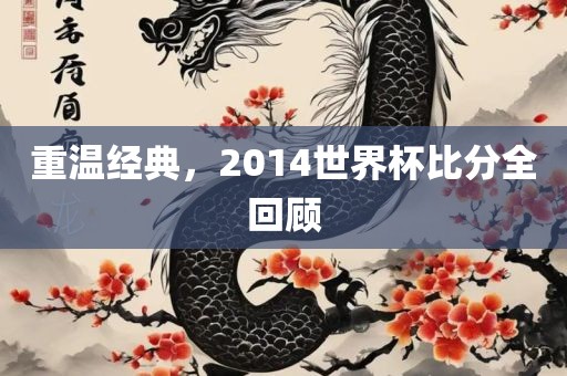 重温经典，2014世界杯比分全回顾