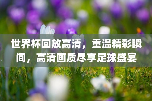 世界杯回放高清，重温精彩瞬间，高清画质尽享足球盛宴