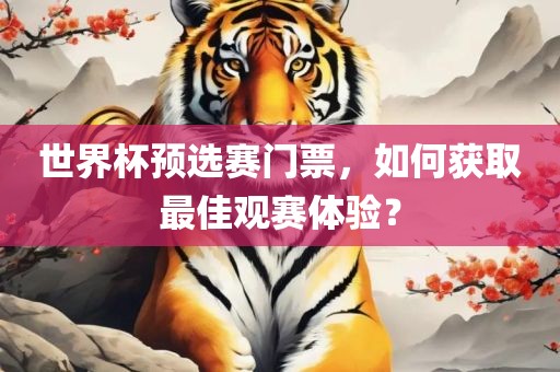 世界杯预选赛门票，如何获取最佳观赛体验？