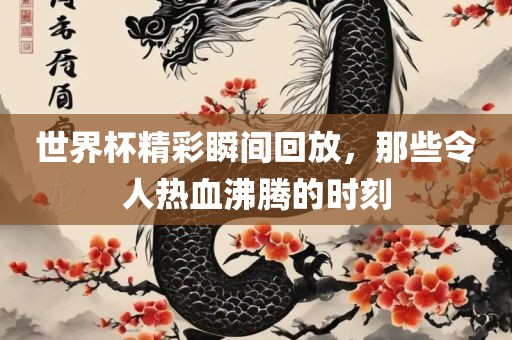 世界杯精彩瞬间回放，那些令人热血沸腾的时刻
