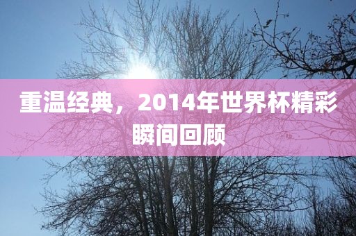 重温经典，2014年世界杯精彩瞬间回顾