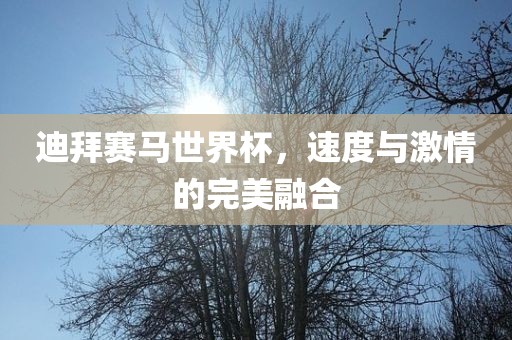迪拜赛马世界杯，速度与激情的完美融合