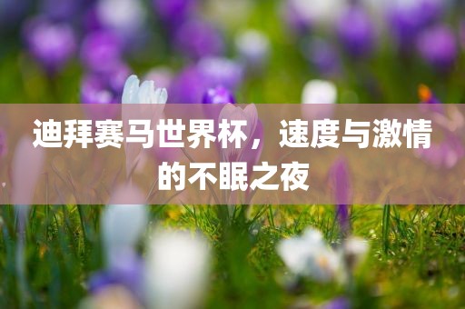 迪拜赛马世界杯，速度与激情的不眠之夜