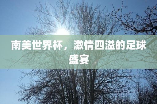 南美世界杯，激情四溢的足球盛宴