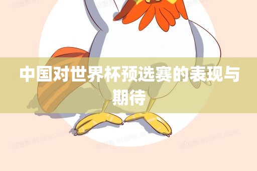 中国对世界杯预选赛的表现与期待