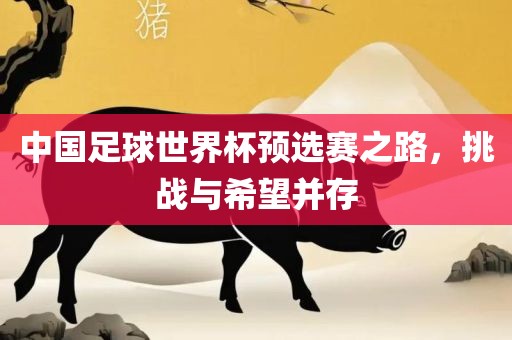 中国足球世界杯预选赛之路，挑战与希望并存