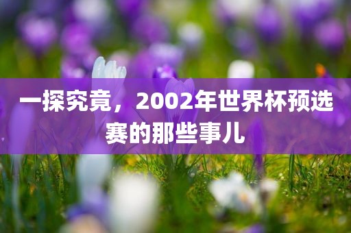 一探究竟，2002年世界杯预选赛的那些事儿