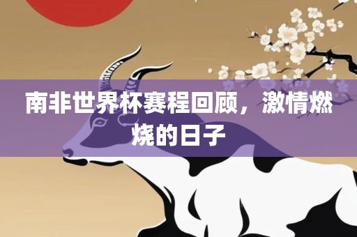 南非世界杯赛程回顾，激情燃烧的日子