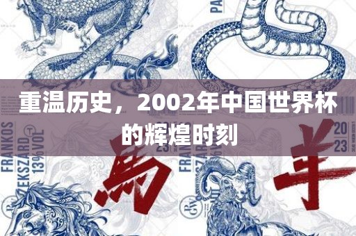 重温历史，2002年中国世界杯的辉煌时刻