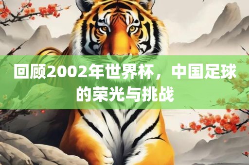 回顾2002年世界杯，中国足球的荣光与挑战