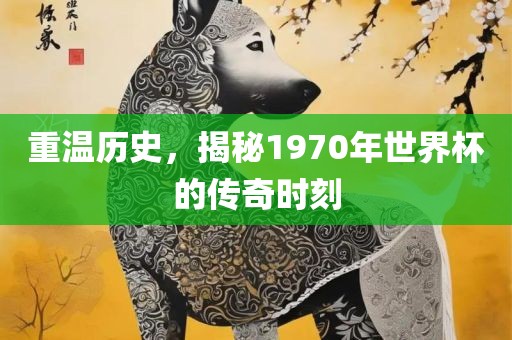 重温历史，揭秘1970年世界杯的传奇时刻