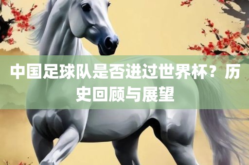 中国足球队是否进过世界杯？历史回漯河市盈旭机械设备有限公司顾与展望