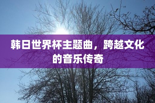 韩日世界杯主题曲，跨越文化的音乐传奇漯河市盈旭机械设备有限公司