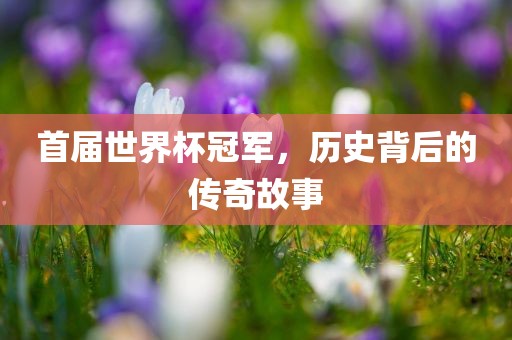 首届世界杯漯河市盈旭机械设备有限公司冠军，历史背后的传奇故事