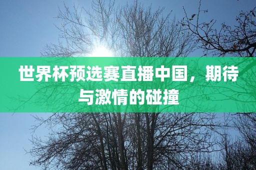 世界杯预选赛直播中国，期待与激情的碰撞
