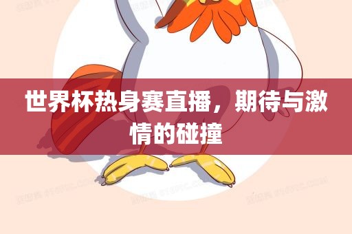 世界杯热身赛直播，期待与激情的碰撞