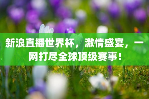 新浪直播世界杯，激情盛宴，一网打尽全球顶级赛事！漯河市盈旭机械设备有限公司