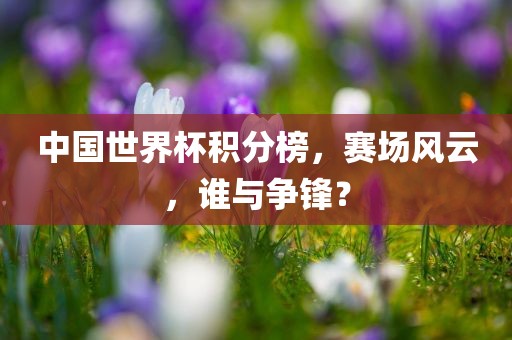 中国世界杯积分榜，赛场风云，谁与争锋？
