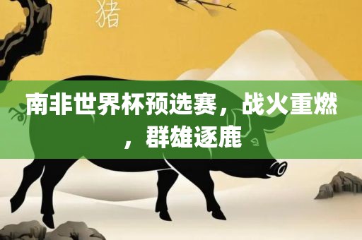 南非世界杯预选赛，战火重燃，群雄逐鹿