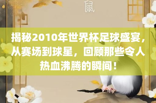 揭秘2010年世界杯足球盛宴，从赛场到球星，回顾那些令人热血沸腾的瞬间！