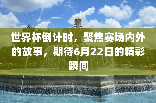 世界杯倒计时，聚焦赛场内外的故事，期待6月22日的精彩瞬间