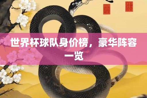 世界杯球队身价榜，豪华阵容一览