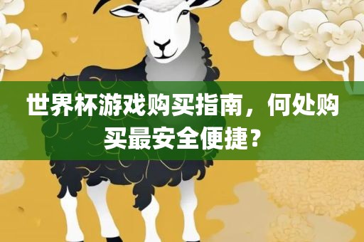 世界杯游戏购买指南，何处购买最安全便捷？