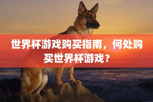 世界杯游戏购买指南，何处购买世界杯游戏？