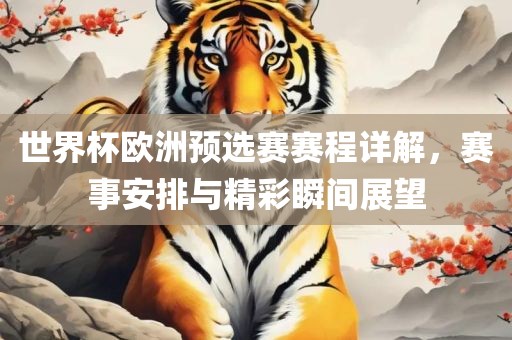 世界杯欧洲预选赛赛程详解，赛事安排与精彩瞬间展望漯河市盈旭机械设备有限公司