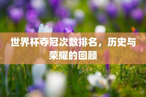 世界杯夺冠次数排名，历史与荣耀的回顾