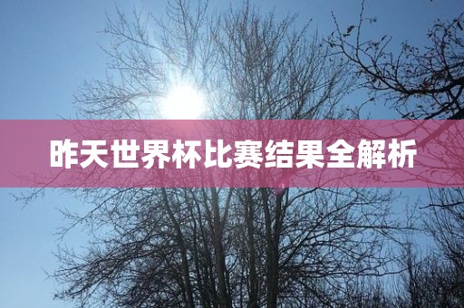 昨天世界杯比赛结果全解析