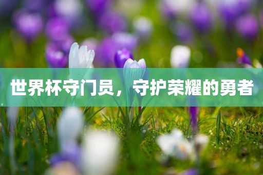 世界杯守门员，守护荣耀的勇者