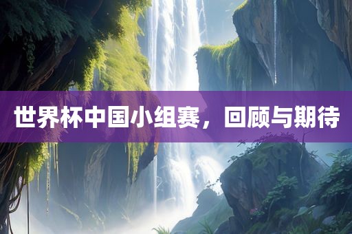 世界杯中国小组赛，回顾与期待
