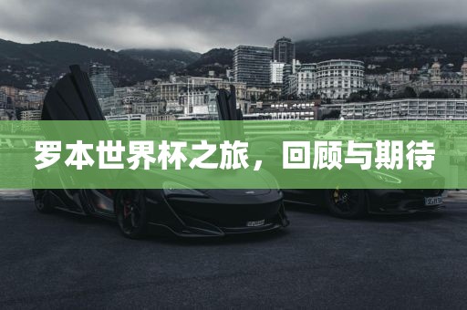 罗本世界杯之旅，回顾与期待