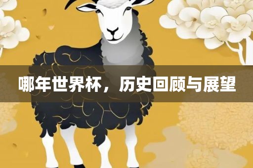 哪年世界杯，历史回顾与展望