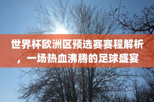 世界杯欧洲区预选赛赛程解析，一场热血沸腾的足球盛宴