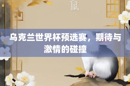 乌克兰世界杯预选赛，期待与激情的碰撞