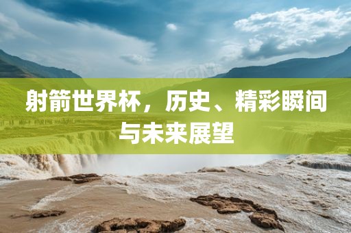 射箭世界杯，历史、精彩瞬间与未来展望