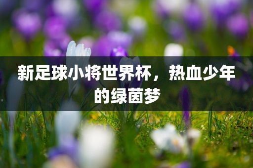 新足球小将世界杯，热血少年的绿茵梦