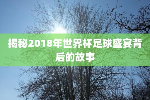 揭秘2018年世界杯足球盛宴背后的故事