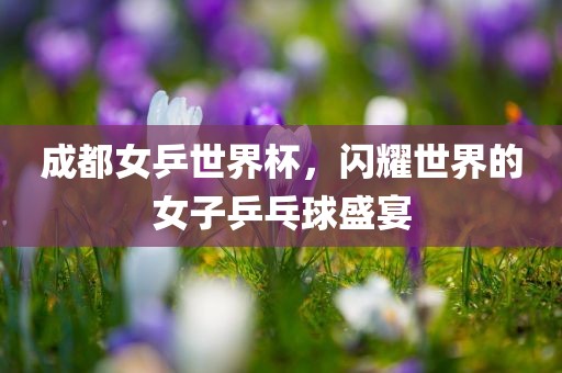成都女乒世界杯，闪耀世界的女子乒乓球盛宴