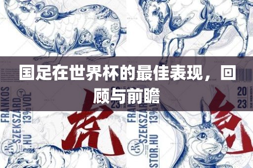 国足在世界杯的最佳表现，回顾与前瞻