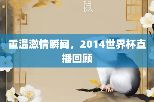 重温激情瞬间，2014世界杯直播回顾