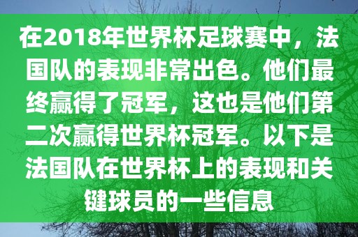 在2018年世界杯足球赛中，法国队的表现非常出色。他们最终赢得了冠军，这也是他们第二次赢得世界杯冠军。以下是法国队在世界杯上的表现和关键球员的一些信息漯河市盈旭机械设备有限公司