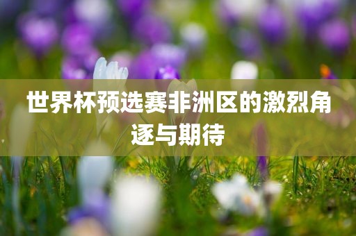 世界杯预选赛非洲区的激烈角逐与期待