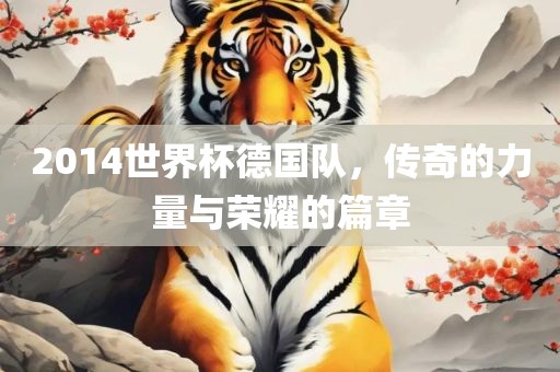 2014世界杯德国队，传奇的力量与荣耀的篇章
