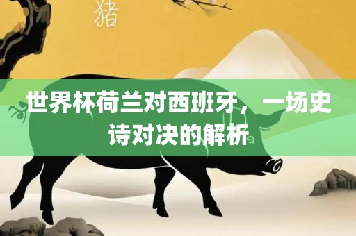 世界杯荷兰对西班牙，一场史诗对决的解析