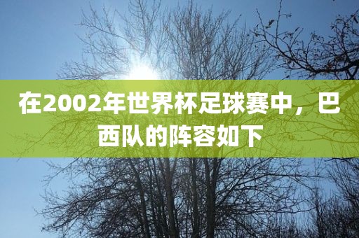 在2002年世界杯足球赛中，巴西队的阵容如下漯河市盈旭机械设备有限公司