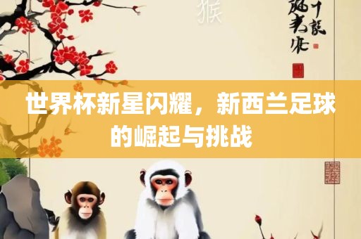 世界杯新星闪耀，新西兰足球的崛起与挑战