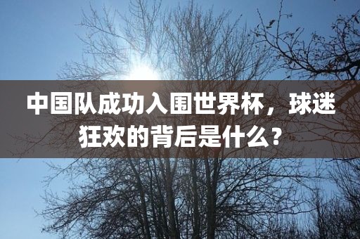中国队成功入围世界杯，球迷狂欢的背后是什么？
